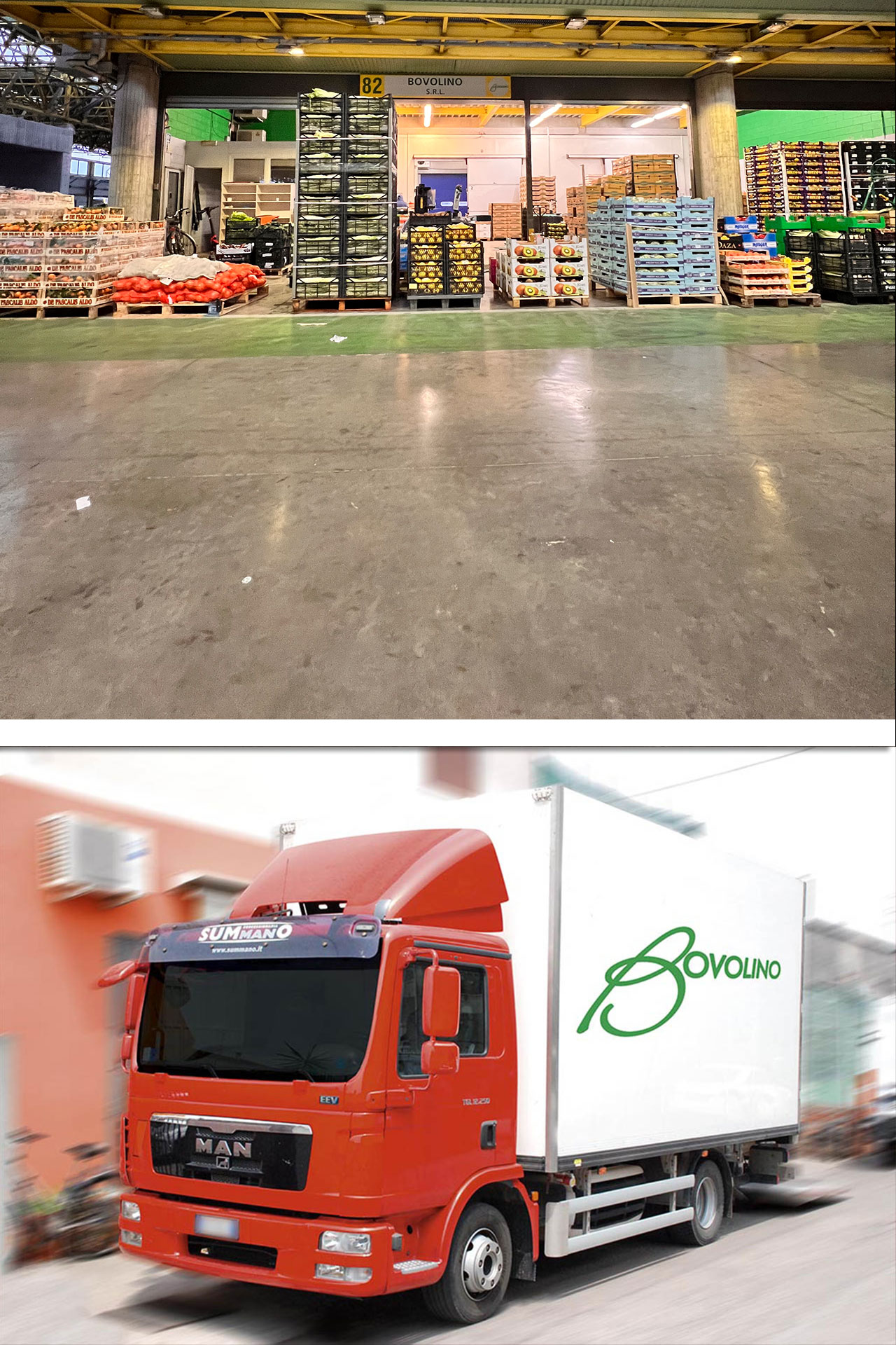 Bovolino Import/Export