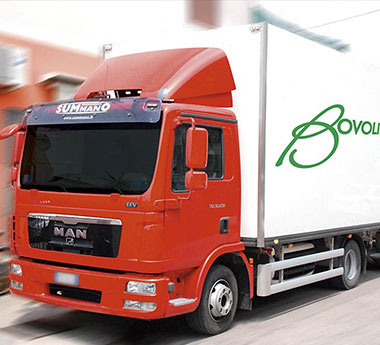 Bovolino Import/Export