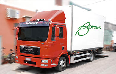 Bovolino Import/Export