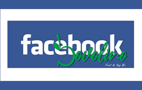 social-media-links-img
